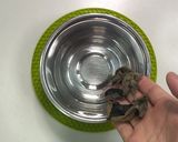 電子レンジで10分！中華丼★ 動画あり★作り方1写真