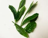 新茶葉を使いサラダにのせるかまぼこサラダ作り方1写真