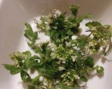 じゃがいもサラダに花クレソン飾る作り方6写真