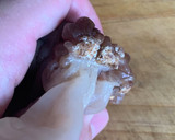 定番おかず！トマトとふわとろ卵の中華炒め作り方5写真