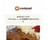 特選★スペアリブとりんごのカレー！作り方11写真