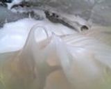 豆乳と抹茶のふわふわシフォンケーキ作り方8写真