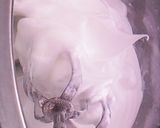 レモンケーキ作り方1写真