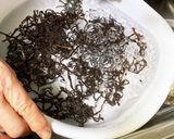乾燥したぜんまいの戻し方メモ作り方17写真