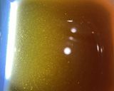 玄米酵母液作り方5写真