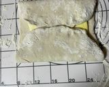 再現!!チョコリング♡作り方8写真