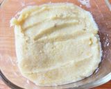 塩れもん作り方4写真