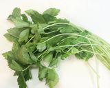 簡単！どっさり薬味のシラス丼作り方1写真