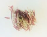 簡単！どっさり薬味のシラス丼作り方4写真