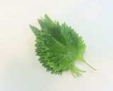 簡単！どっさり薬味のシラス丼作り方5写真