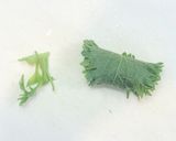 簡単！どっさり薬味のシラス丼作り方6写真