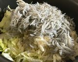 ⭐︎春キャベツとしらすのチーズ春巻き⭐︎作り方2写真