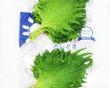 うちの味☆大葉が香る♪たけのこサラダ♪作り方1写真