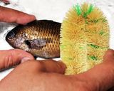 あぶってかも作り方1写真