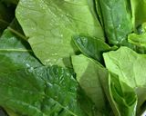 たまごと菜っ葉　コンソメスープ作り方4写真