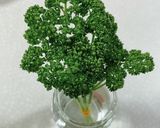 我が家のパセリの保存方法作り方6写真