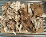 【簡単】サクサク、舞茸の天ぷら作り方1写真