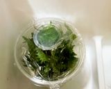 大葉の保存^^作り方8写真