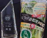 サラダ春菊 のベーコン＆白はんぺん炒め作り方5写真