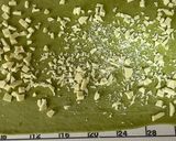 抹茶チョコリング完全再現!!作り方17写真