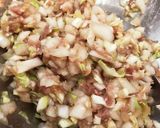 新玉ねぎとキャベツのヘルシー野菜餃子作り方2写真