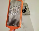 ホタルイカのオイスターソースきんぴら作り方1写真