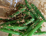 やさしい甘みが美味い！いんげんのごま和え作り方6写真