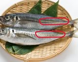 意外と簡単!鯵の三枚おろし作り方9写真