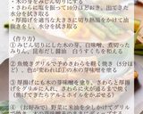 さわらの木の芽味噌焼き作り方3写真