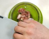 電子レンジで簡単に♪茶碗蒸し★動画あり★作り方5写真