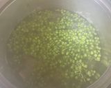 山椒の実の冷凍方法　初めてやってみた作り方2写真