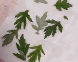 簡単★収穫したヨモギで「ヨモギ茶」作り方1写真