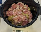 ホットクックで簡単ココナッツカレー作り方2写真