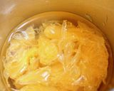 ハッサク日本酒ハイボール作り方2写真