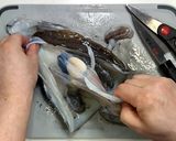 タルタルソース★紋甲イカのフライ★動画作り方16写真