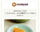 ★レンジとフープロでかぼちゃ芋ようかん作り方13写真