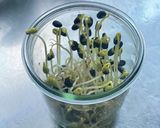 【北海道の豆でかんたん手づくりもやし】作り方4写真