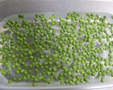 山椒の実で♪ごぼうの山椒味噌炒め作り方2写真