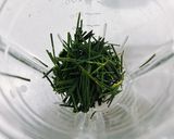 腸と血管のデトックスに♡松ジュース作り方1写真