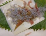 チーズ入り薬味春巻き作り方3写真