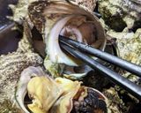 スルリン快感！煮サザエ◆サザエごはんにも作り方3写真