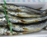 真イワシをフライパンで焼きました：美味！作り方1写真