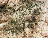 ツナサンド作り方4写真