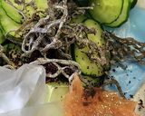 梅きゅうり☆夏さっぱり☆簡単常備菜☆副菜作り方1写真