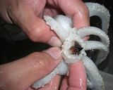 イカのゴロ焼き☆作り方2写真