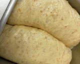 全粒粉/卵で 高タンパク食パン作り方10写真