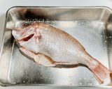 70℃ 本気の真鯛アクアパッツァ作り方14写真