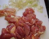 キウイチキンカレー作り方3写真