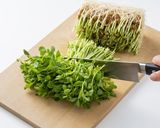 黒あわび茸と豆苗の中華炒め作り方2写真