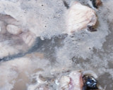 速攻で作る鰤あらと蕪の煮付け作り方4写真